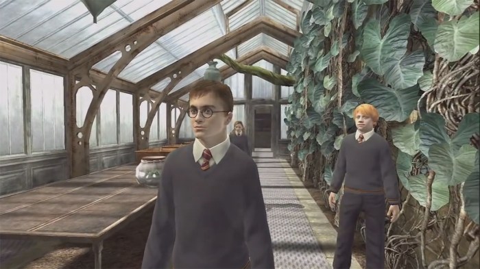Harry Potter and The Order of the Phoenix 1