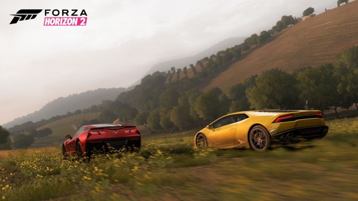 Forza Horizon 2 (2)