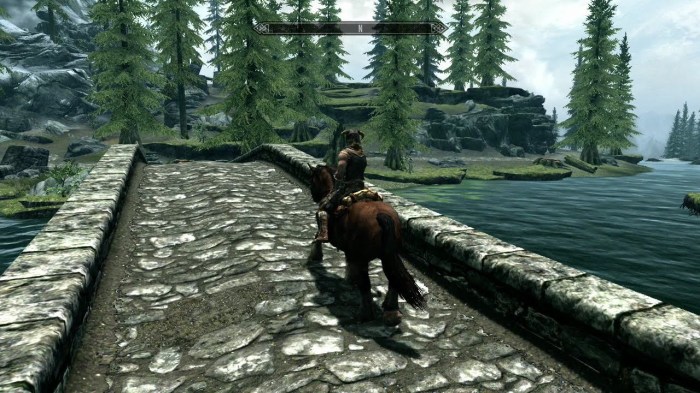 Skyrim (1)