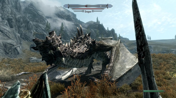 Skyrim (2)