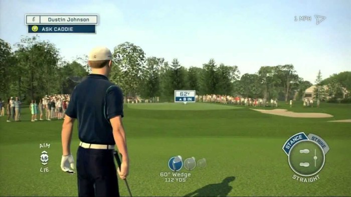 Tiger Woods PGA Tour 13 (2)