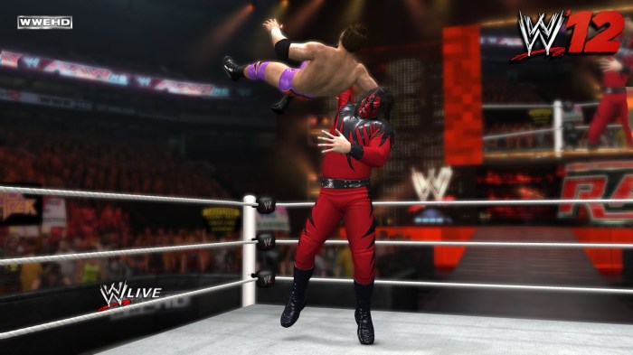 WWE 12 (2)